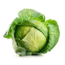 Cabbage